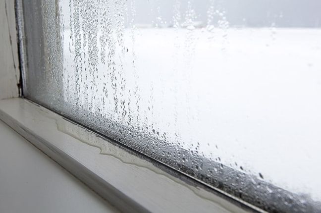 window